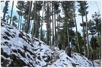 india weather forecast latest december 16 cold weather expected as minimum temperatures continue to fall