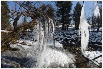 india weather forecast latest december 27 rain to sweep northern states as severe cold wave prevails during year end