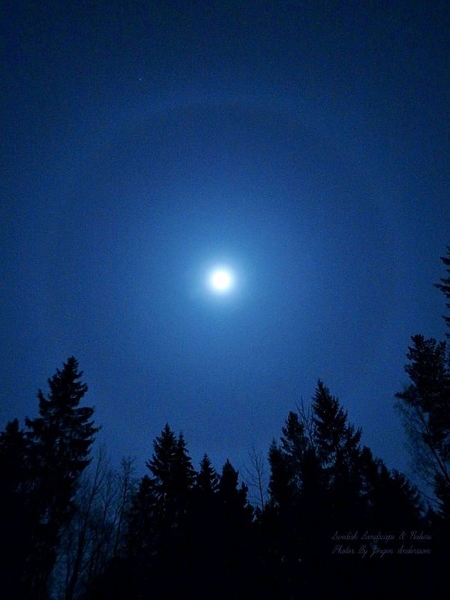 Cold Moon 2020: All things you need to know about the last full moon of the decade