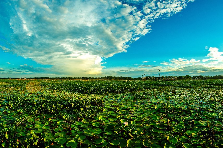 Photo: The Beauty of Dam River in Quang Nam