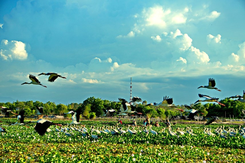 Photo: The Beauty of Dam River in Quang Nam