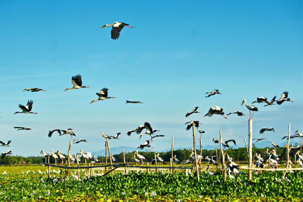 Photo: The Beauty of Dam River in Quang Nam