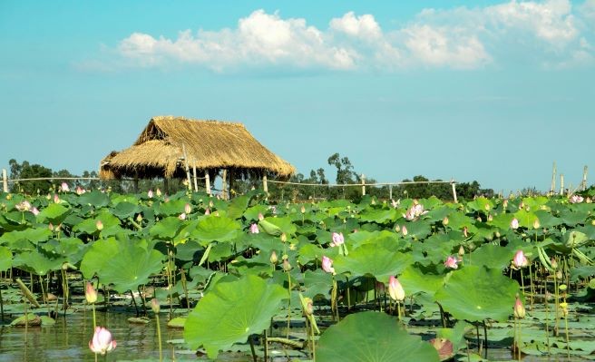 Photo: The Beauty of Dam River in Quang Nam