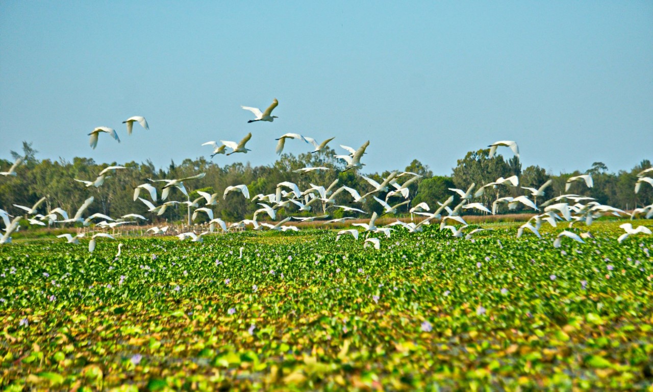 Photo: The Beauty of Dam River in Quang Nam