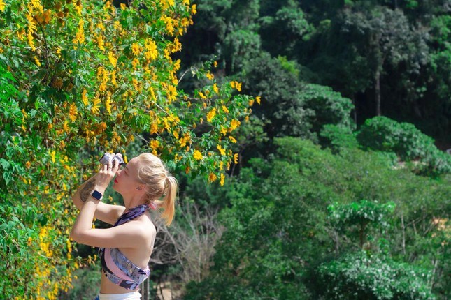 Tourists Get Lost in the Unique, Wild Beauty of Di Linh Plateau