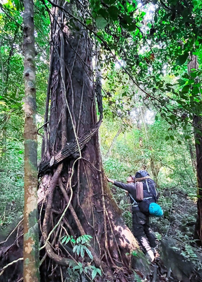 Tourists Get Lost in the Unique, Wild Beauty of Di Linh Plateau