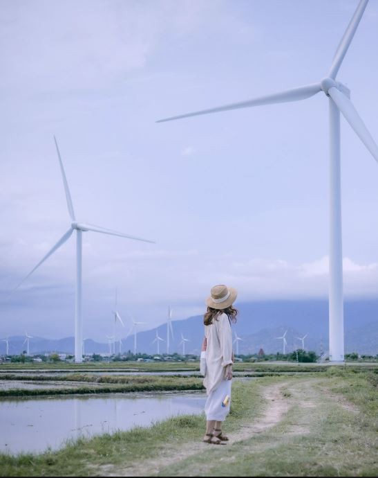 Discover the So-Called 'Mediterranean' of Vietnam Discover the So-Called 'Mediterranean' of Vietnam