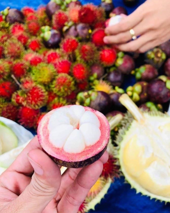 The land of tropical fruits. (Photo: To Quoc) The land of tropical fruits. (Photo: To Quoc)