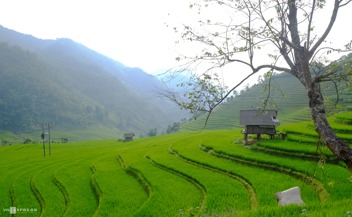 nam cang among sapas amazing hidden forest