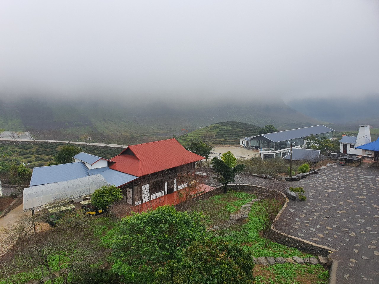 Impressive Hoang Su Phin cloudy wallowing in wait for your enjoyment