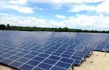 tt group run by hien coach made a usd 115 million agricultural deal with a us partner ignoring covid 19 s attack
