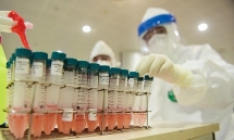 vietnamese food processing firms raise production take actions to prevent covid 19