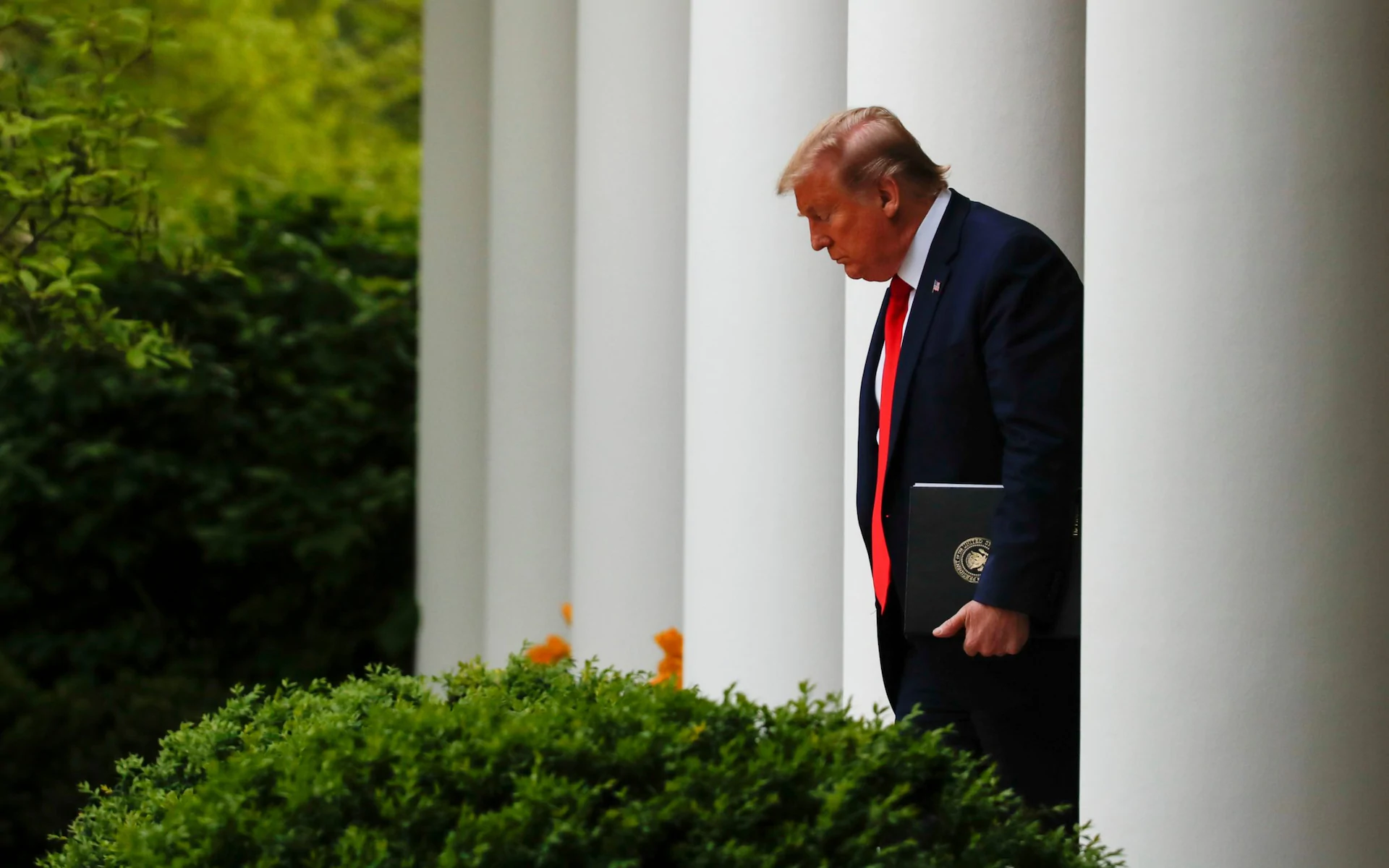 us president trump announced to suspend who funding over pandemic response