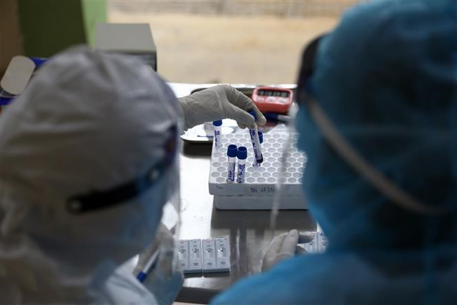 rapid covid 19 tests conducted to hanoi wholesale markets