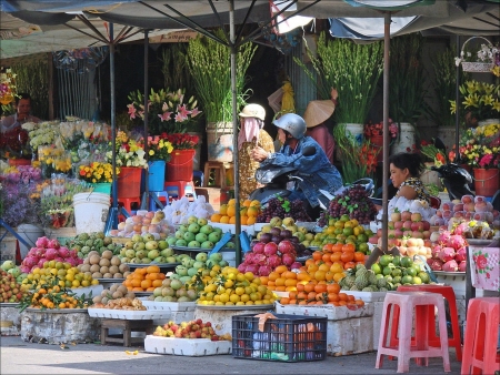 Vietnam's 10 life worth reasons through a Canadian writer's eyes