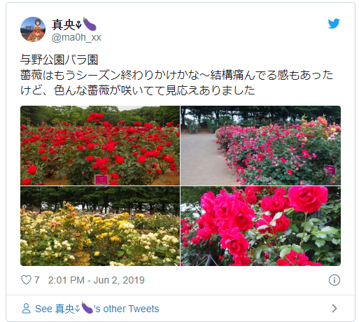 Japan Covid-19 pandemic looks painfuf even thousands of flowers cut off for gather discouraging
