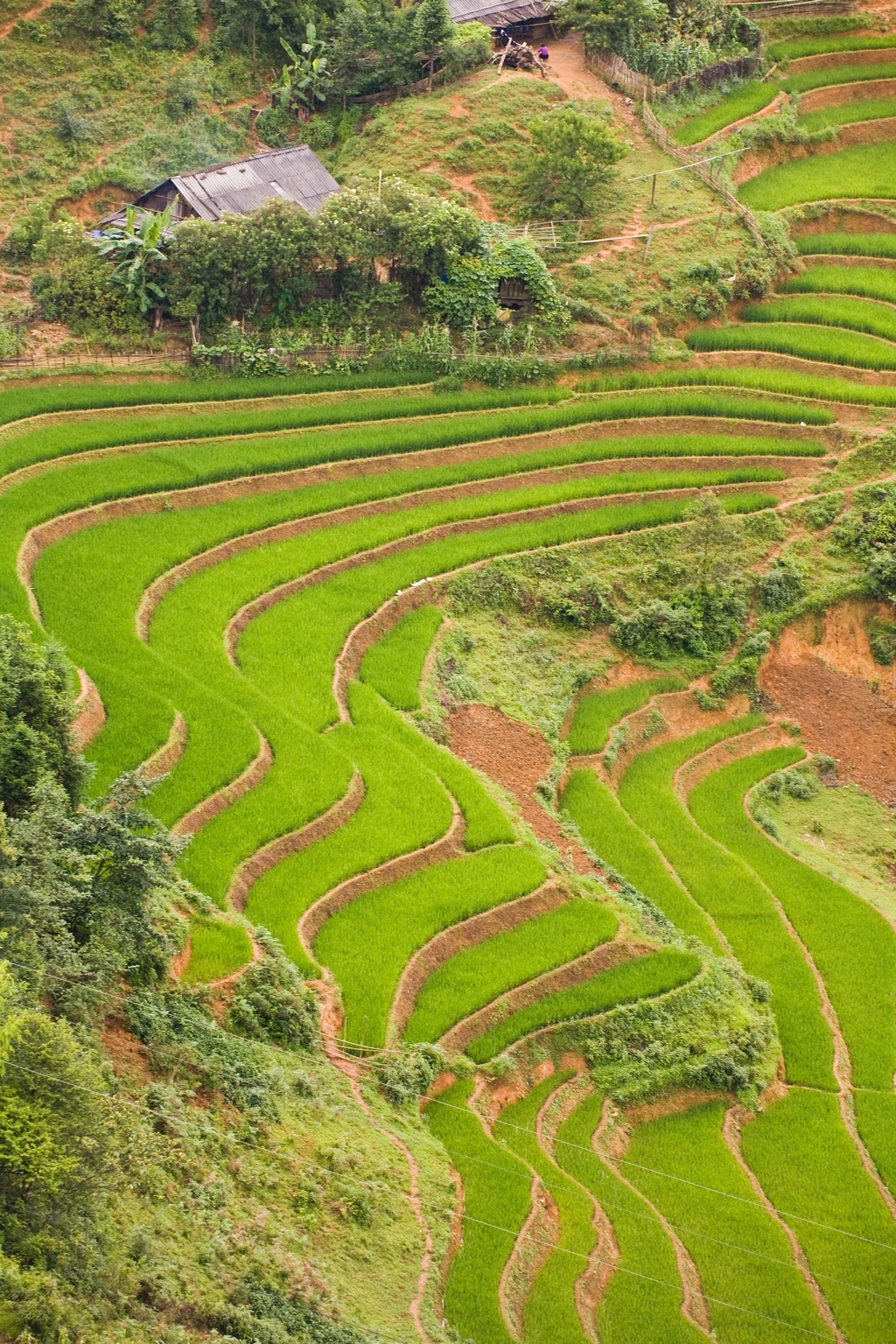 Vietnam Sustainable Rural Charmings through a Britain young beautiful jounarlist's eyes