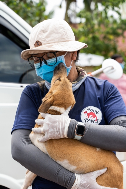 Dog slaughterhouse in Cambodia for Vietnamese import culinary preference shut down