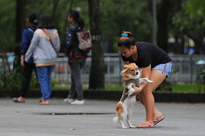 Covid-19 Patients Warn of Pets And How To Care Your Pets During Pandemic