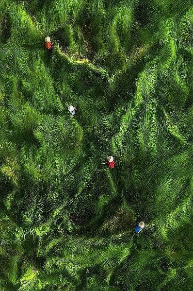 Photo of Tam Giang Lagoon Wins First International Photo Awards