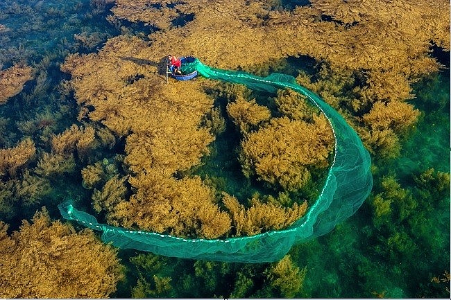 Photo of Tam Giang Lagoon Wins First International Photo Awards