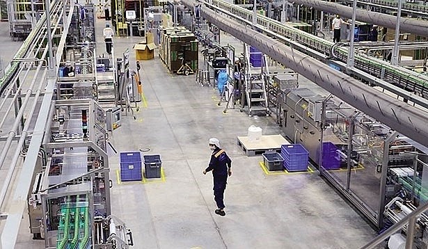 At a factory of Nestle in Hung Yen province (Photo: baodautu.vn)