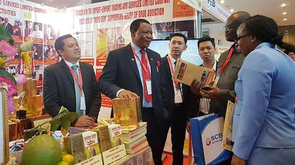 Huge opportunities for Vietnam's broader economic cooperation to join French-speaking Africa