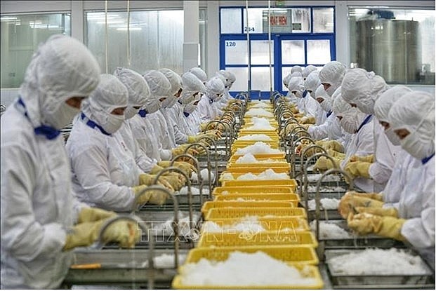 Illustrative image (Photo: VNA)