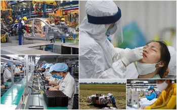 Malaysia News Agency Highlights Vietnam’s Efforts Amid Pandemic