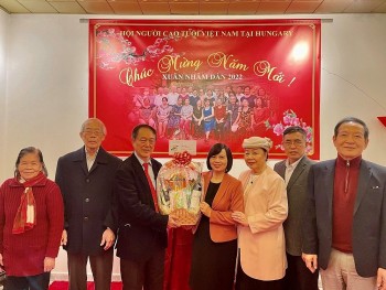 Vietnamese Community in Hungary Strengthens Bilateral Cooperation