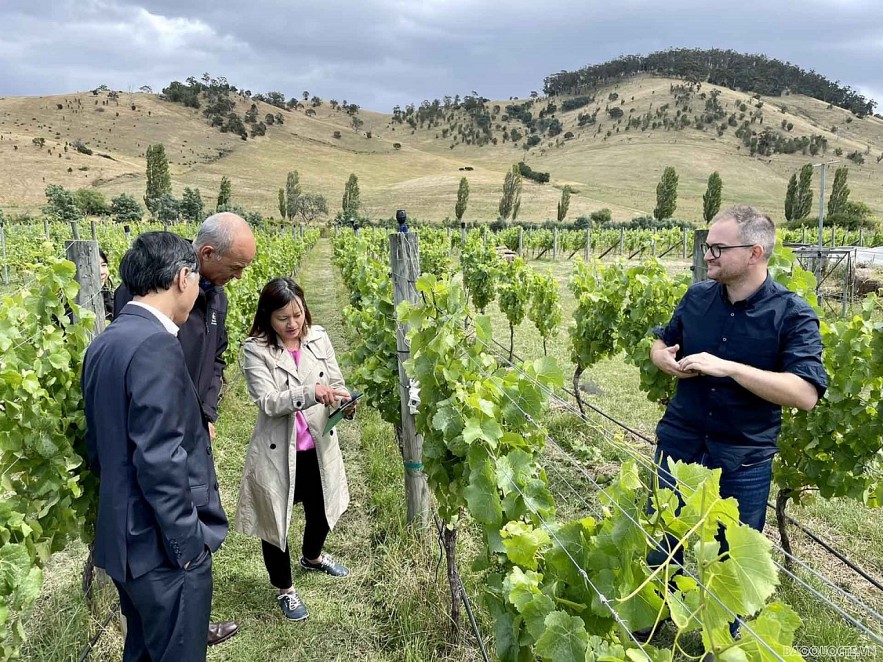 Tasmania Ready to Have Comprehensive Cooperation with Vietnam