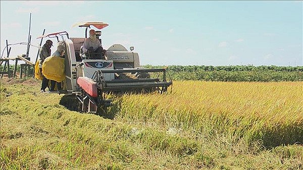 Vietnam Shares Experience in Poverty Reduction, Crisis Settlement at UN Session