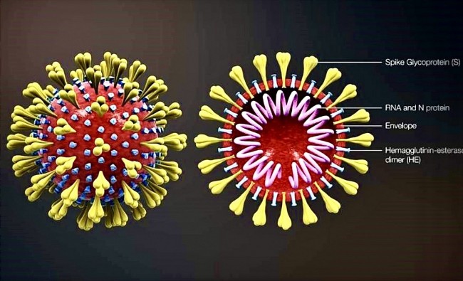 Vietnam News Today (Mar. 5): Covid-19 to be Considered an Endemic Disease in Vietnam