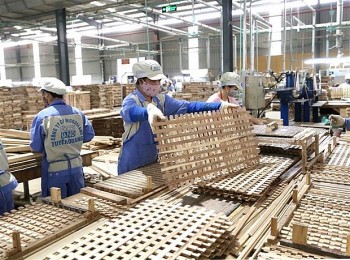 Vietnam-Canada Investment Forum Eyes Cooperation Opportunities