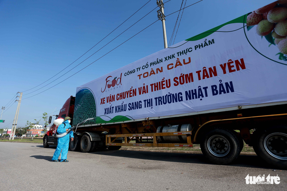 Bac Giang lychees on the way to Japan