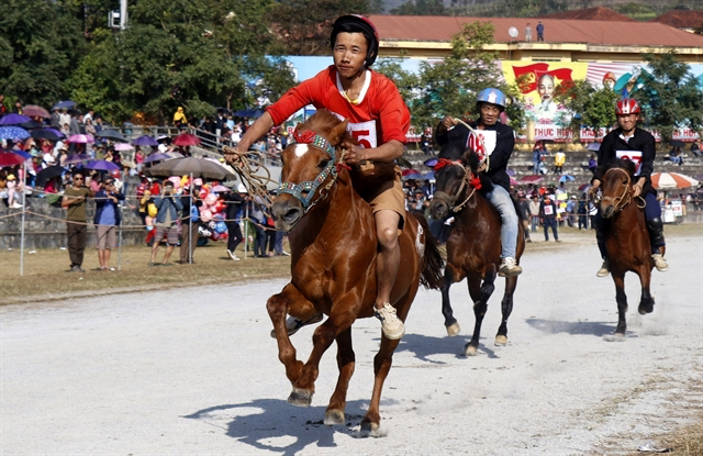 Bac Ha traditional horse race recognised as national intangible heritage