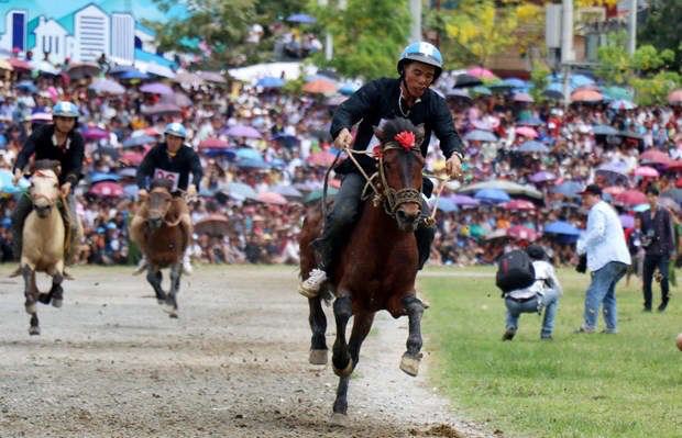 Bac Ha traditional horse race recognised as national intangible heritage