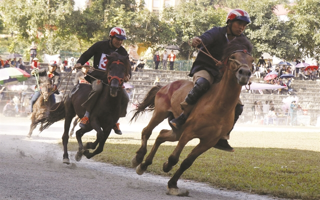 Bac Ha traditional horse race recognised as national intangible heritage
