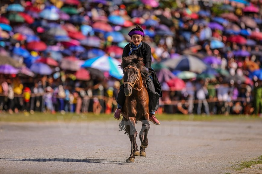 Bac Ha traditional horse race recognised as national intangible heritage