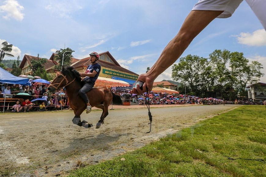 Bac Ha traditional horse race recognised as national intangible heritage