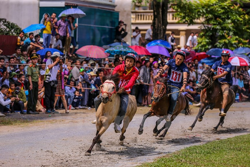 Bac Ha traditional horse race recognized as national intangible heritage