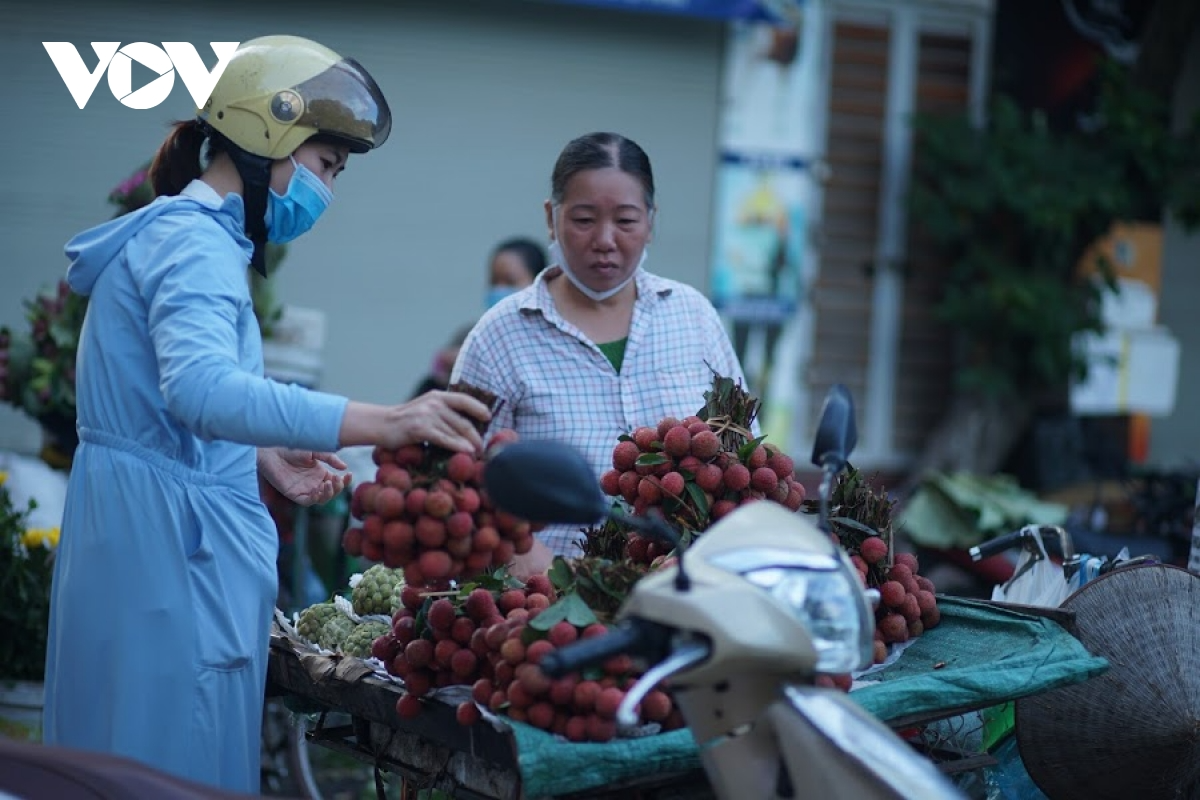 Litchi and plums are typical summer fruits that are favored on the Doan Ngo New Year offerings.  Photo: VOV