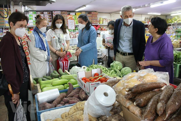 Vietnamese traditional culture impresses international friends in Czech Republic
