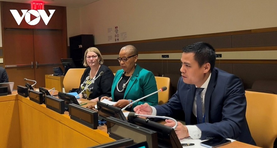 Ambassador Dang Hoang Giang, Permanent Representative of Vietnam to the UN. Photo: VNA