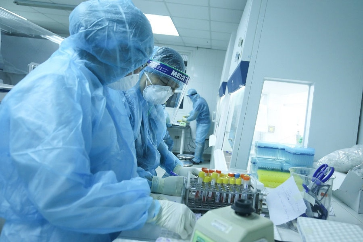 Screening Covid-19 tests in the lab. Photo: VOV