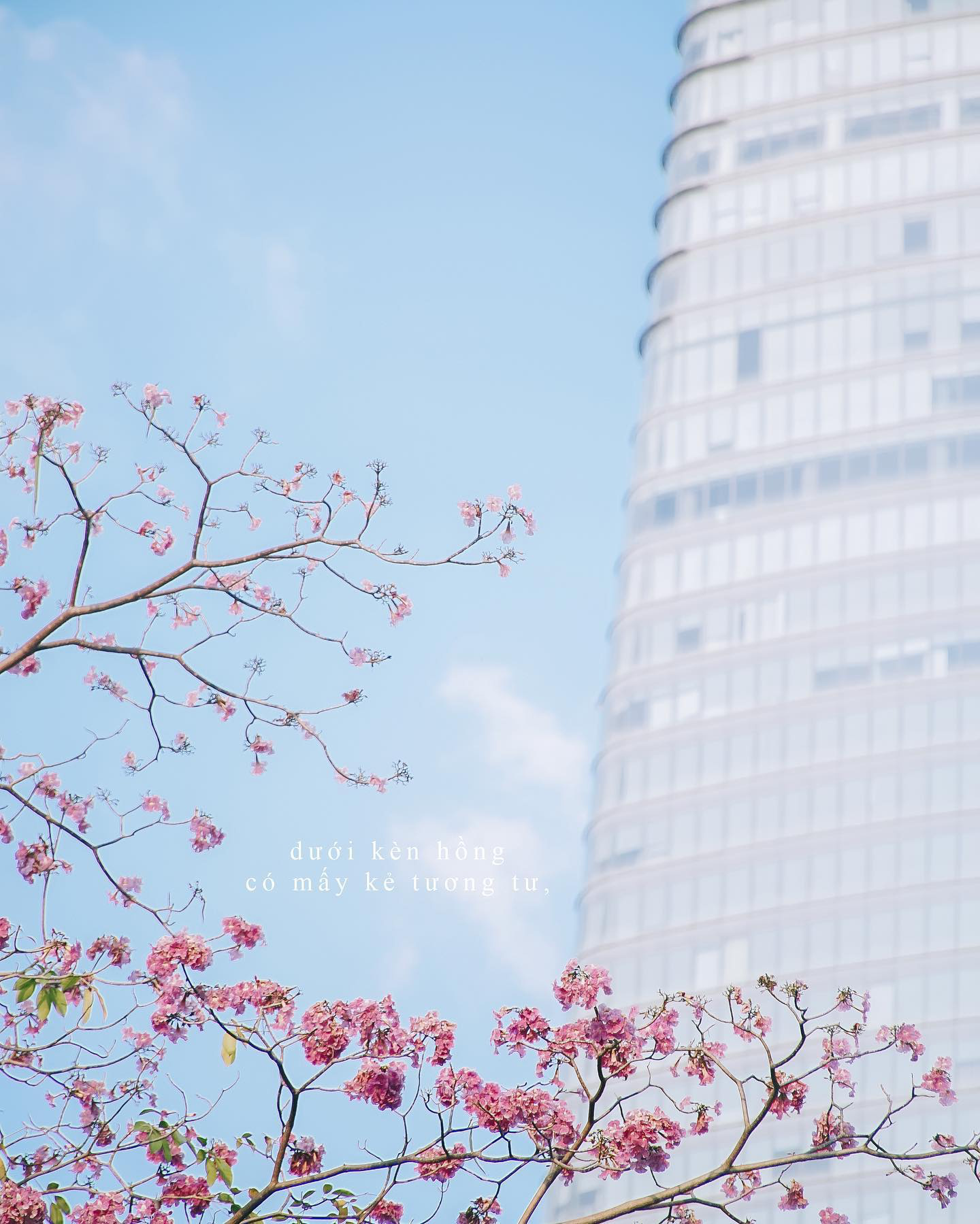 In Photos: Idyllic Saigon in The Eyes of Young Vietnamese In Photos: Covid Cuties Cheer Up Lockdown Saigon