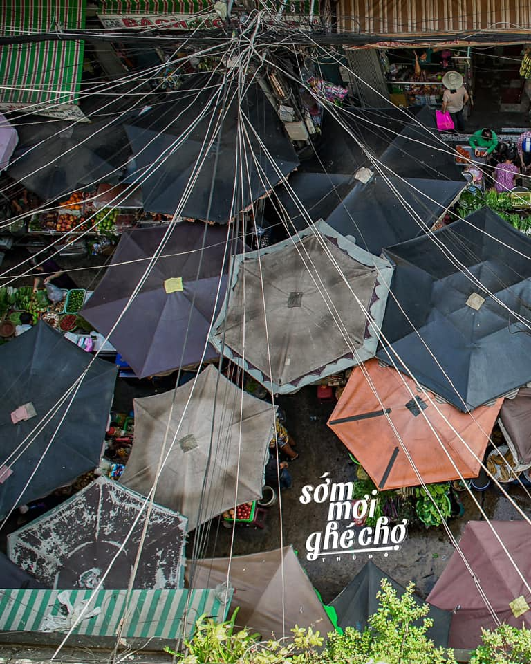 In Photos: Idyllic Saigon in The Eyes of Young Vietnamese In Photos: Covid Cuties Cheer Up Lockdown Saigon