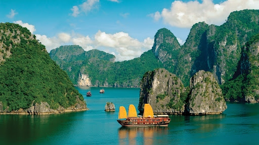 Vietnam-UNESCO Cooperation Relationship Grows Over Time