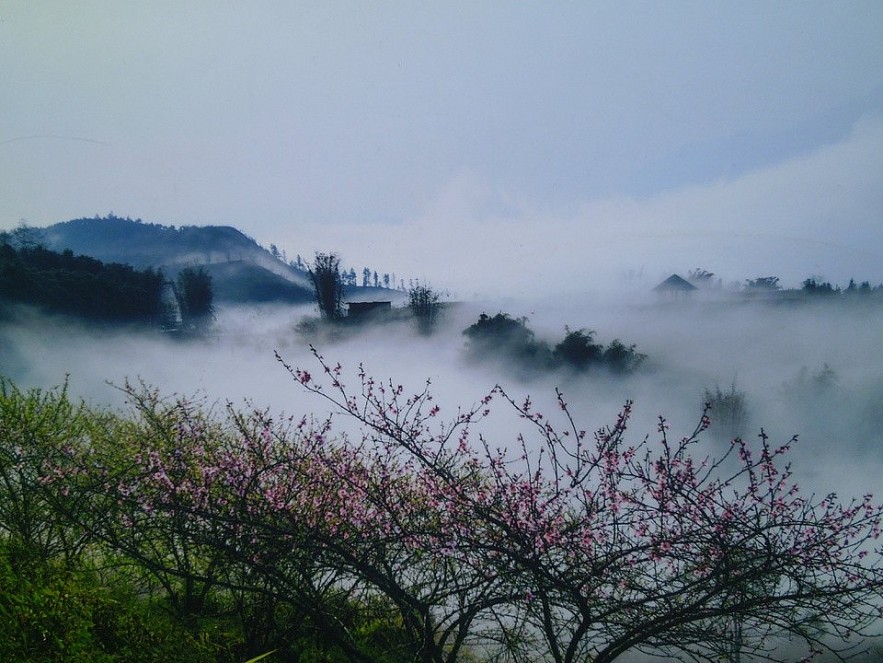 4 Ideal Destinations in Vietnam for Travelers Post Covid-19