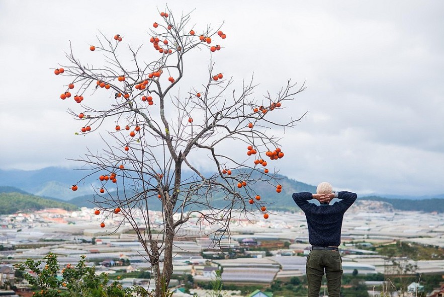 4 Ideal Destinations in Vietnam for Travelers Post Covid-19